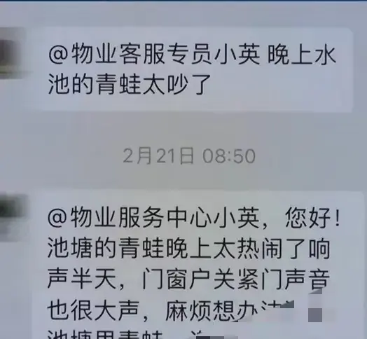 【奇闻!】广州番禺小区居民疯狂投诉,都是青蛙的错吗?