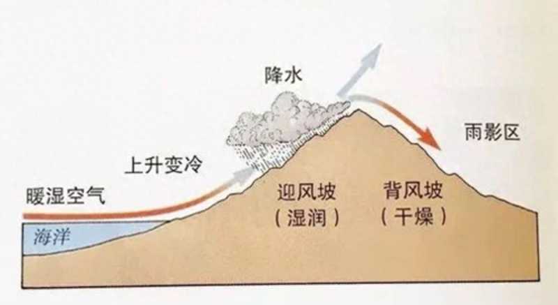 【奇闻异事】世界上真的有龙吗？（二）