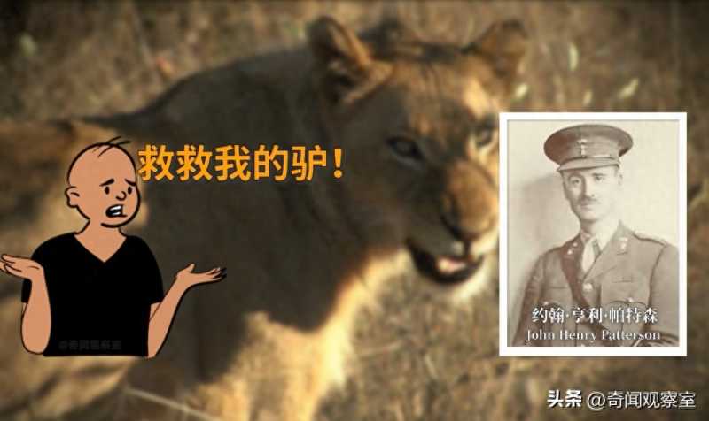 两头雄狮疯狂攻击人类,135人命丧狮口,吓的几千人的队伍大逃亡