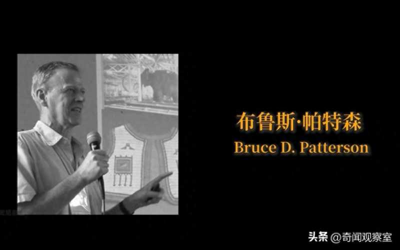 两头雄狮疯狂攻击人类,135人命丧狮口,吓的几千人的队伍大逃亡