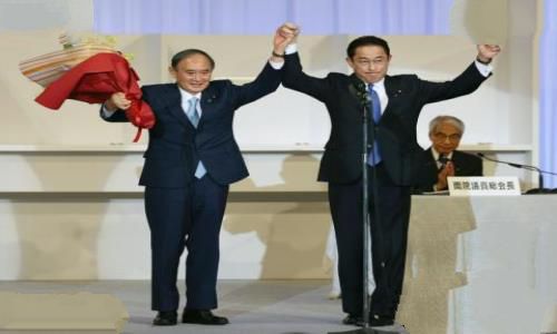 粮补什么时候开始发放（2022年种粮补贴发放时间）