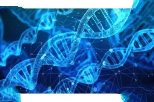 科学家发现人类DNA存在修改痕迹！其中或许隐藏了人类起源！
