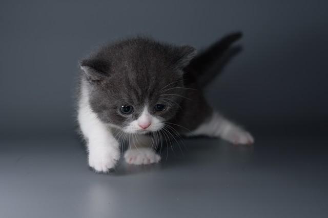 奇闻趣事大揭秘！你绝对想不到的猎奇故事！