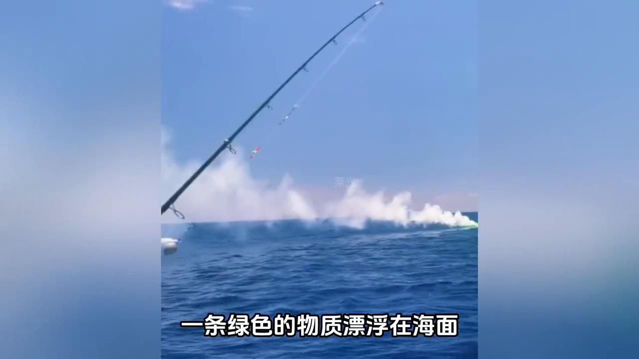 人直接进入箱子？被相机拍到不可思议的离奇事件！#奇闻异事