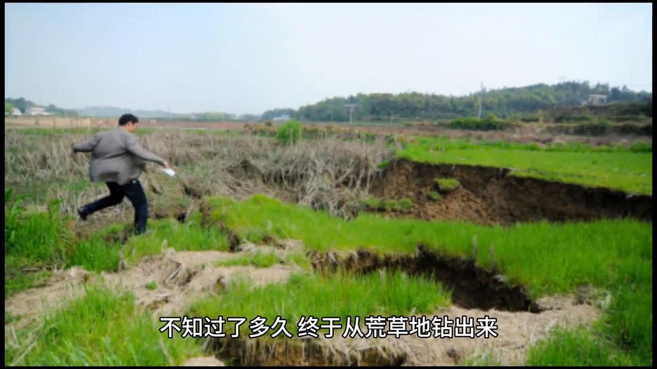 睡前小故事#奇闻异事