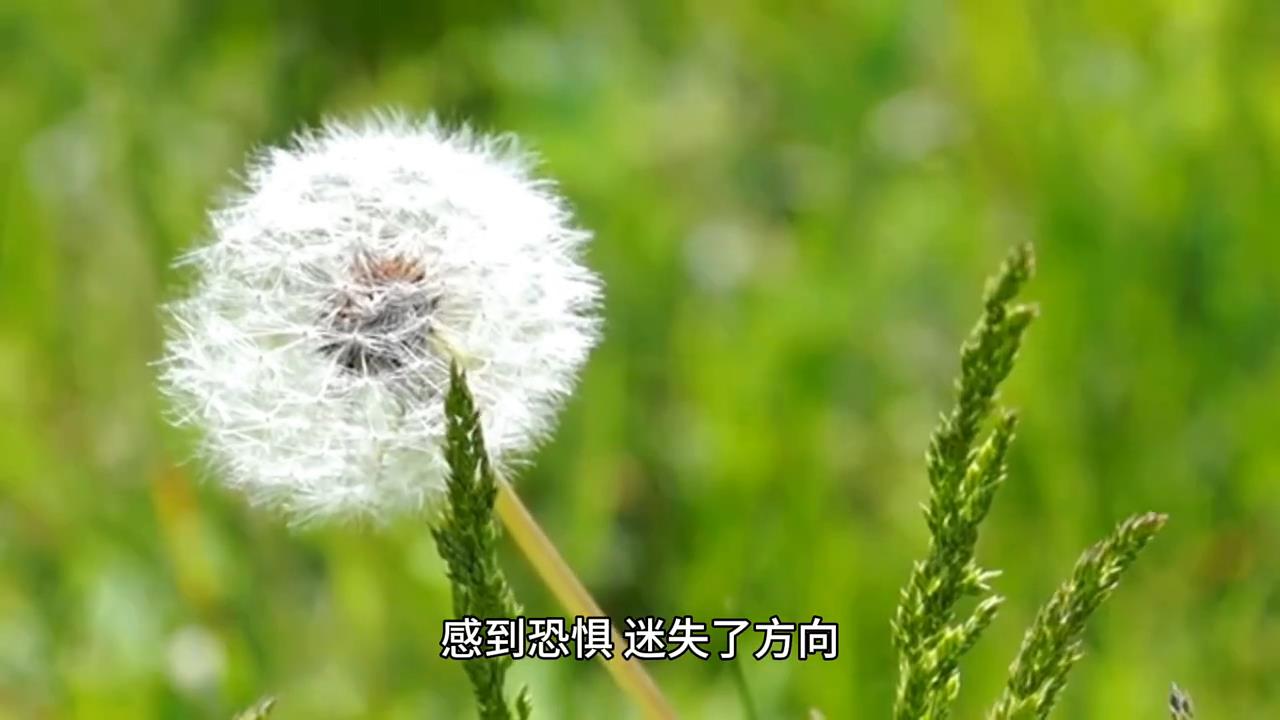 睡前小故事#奇闻异事