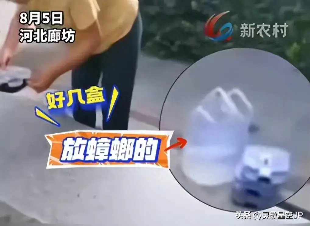 震惊！小区惊现“放生”蟑螂奇闻，女子行为引发热议与深思。。。