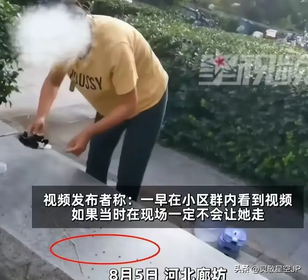 震惊！小区惊现“放生”蟑螂奇闻，女子行为引发热议与深思。。。