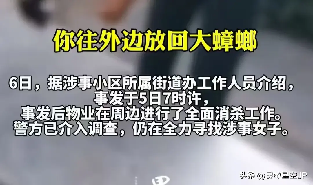 震惊！小区惊现“放生”蟑螂奇闻，女子行为引发热议与深思。。。