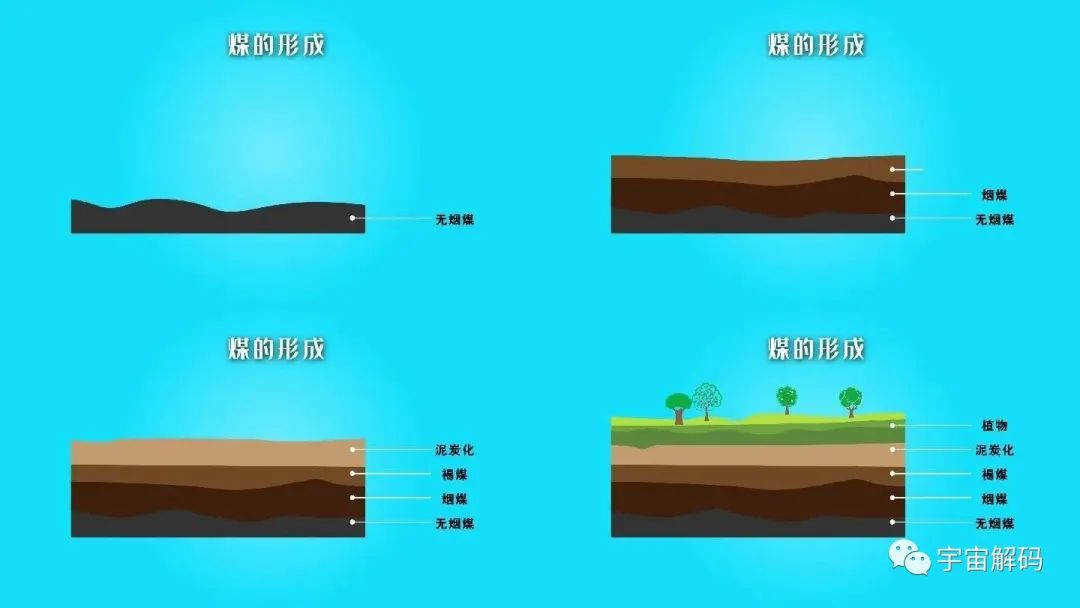 山西120米厚的煤层至少要2440米的植物遗骸堆积？