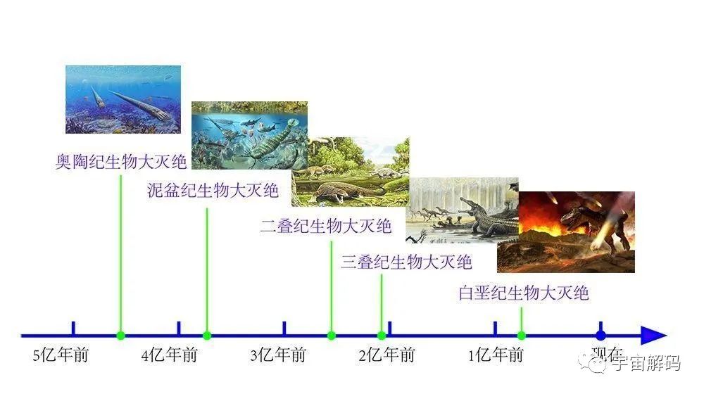 山西120米厚的煤层至少要2440米的植物遗骸堆积？